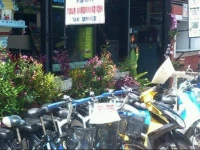 The Chiang Mai Nest Guest House