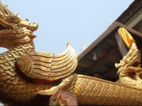 Coffee in Narrow Guesthouse