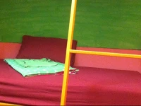 Elephant Retirement Park