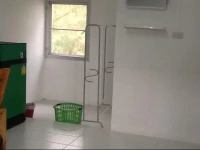 Orchid House Chiang Mai