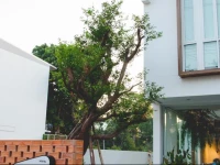 Two gals and the pig boutique hostel