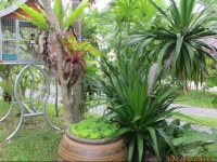 Choengmon Residence 2*