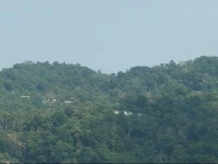 Ban Elephant Blanc Apartment