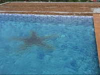 Kata Ocean View Apartment