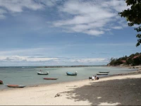 Jungle Hut Bungalows & Hotel