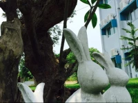 Addera Residence Hua Hin