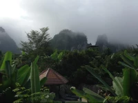 Khao Sok Morning Mist Resort