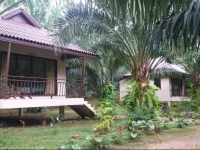 Khao Sok Palm Garden Resort 2*