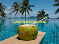 2 Bedrooms Sea View Apartment Koh Chang A7A8
