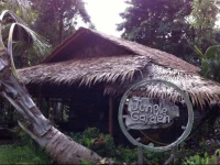 Jungle Garden 2*