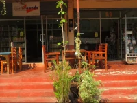 Pearl Beach Holiday Apartment 2*