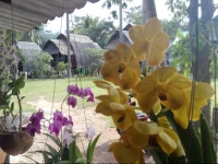 Angel Lanta Bungalow