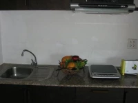 Baan Puteri Lanta 1*