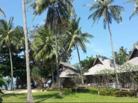 New Ozone Resort & Spa