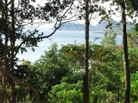 Good Morning Bungalow