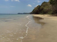 Jungle Hill Beach Bungalow