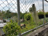 The Little Box House Krabi