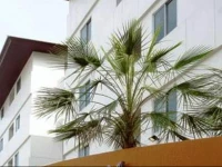 The Ivory, Suvarnabhumi Airport