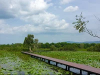 Saree Lagoon Villa Samui