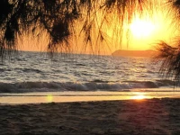 Рђ23M Mosaic Condominium