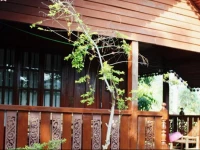 Utopia House Phangan