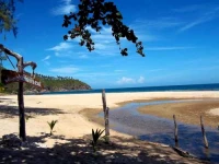 Mae Haad Beach View Resort