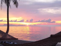 Jasmine & Tea House 3*