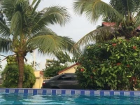 Nai-Harn Orchid by Pro-Phuket