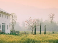 Romance - Another Story in Pai