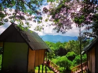 Swan Pakaran Guest House 1*