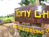 Tony Guesthouse