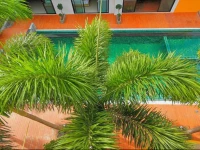 Buasri Phuket Hotel