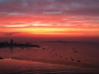 Best Centric Sea suite