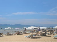 Butterfly Garden Boutique Residence by Frasier