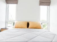 Bangkok House Apartment