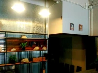 Phuket Capsule Hostel