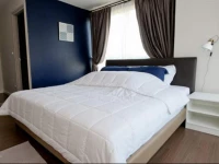 D Condo Creek By Alex