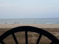 Happy House On The Beach