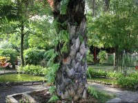 Pinnacle Satun Hotel