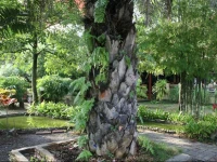 Pinnacle Satun Hotel