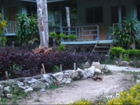 Chill Out Bar & Bungalow