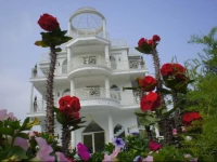 Bliss Bed and Breakfast