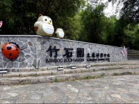 Sun Moon Lake Bamboo Rock Garden