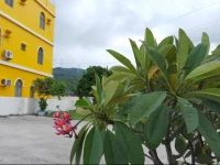 Chen Zhi Ye Yuan B&B