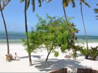 Indigo Beach Zanzibar 3*