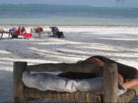 Upepo Boutique Beach Bungalows