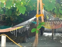 Bahari Pizza Restaurant Bungalows 2*