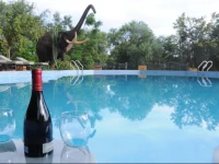 Kudu Lodge and Campsite