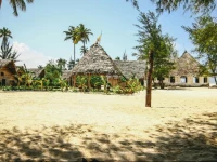 Jambo Beach Bungalows