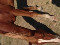 Casa en Carmelo - El Faro